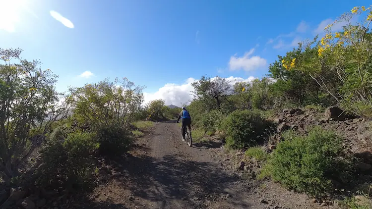 Inmersión Total en la Naturaleza de Chinyero