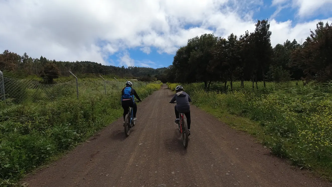 La Ruta Más Verde te Espera