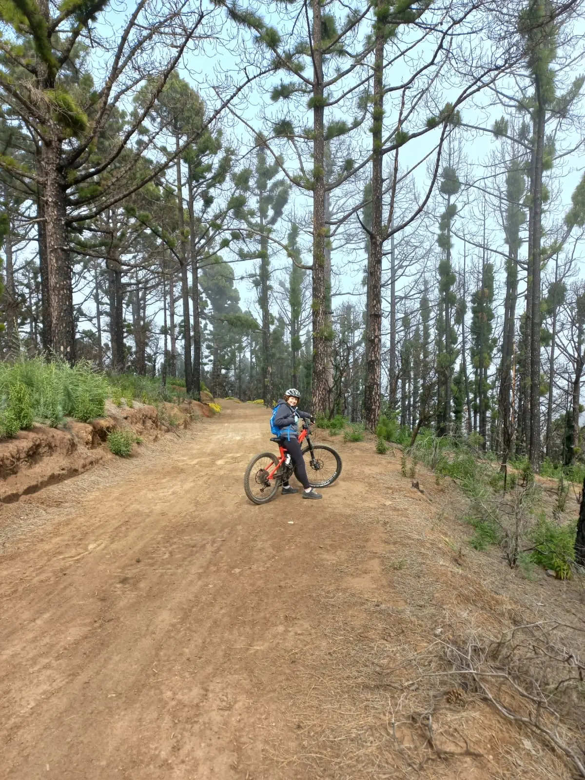 Un Viaje Sereno por los Caminos de La Esperanza