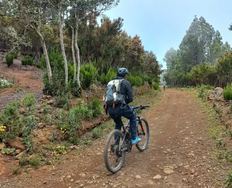 Pedaleando hacia el Corazón Verde y Húmedo de Tenerife
