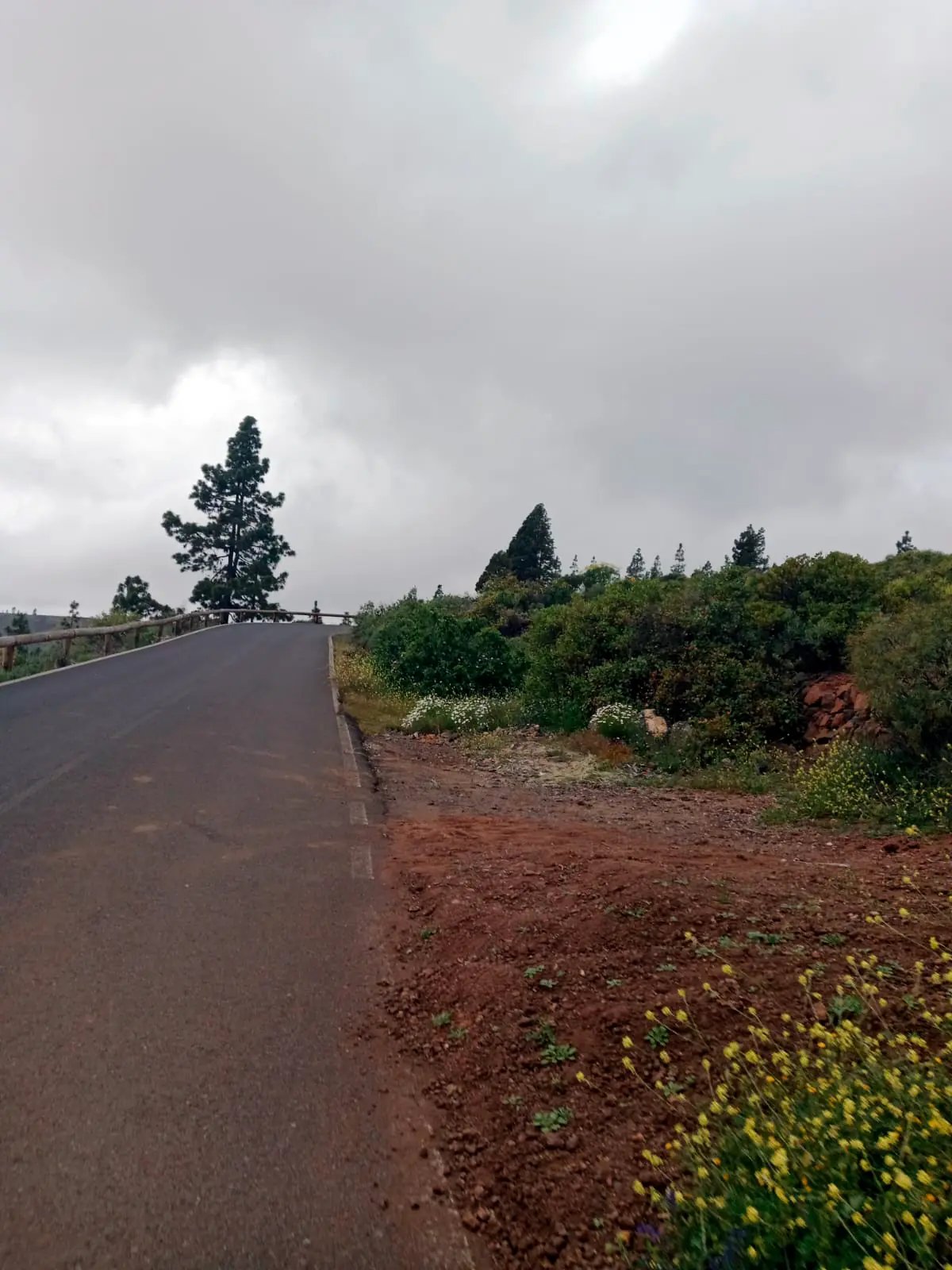 Ascenso a Las Vegas: Reto Natural